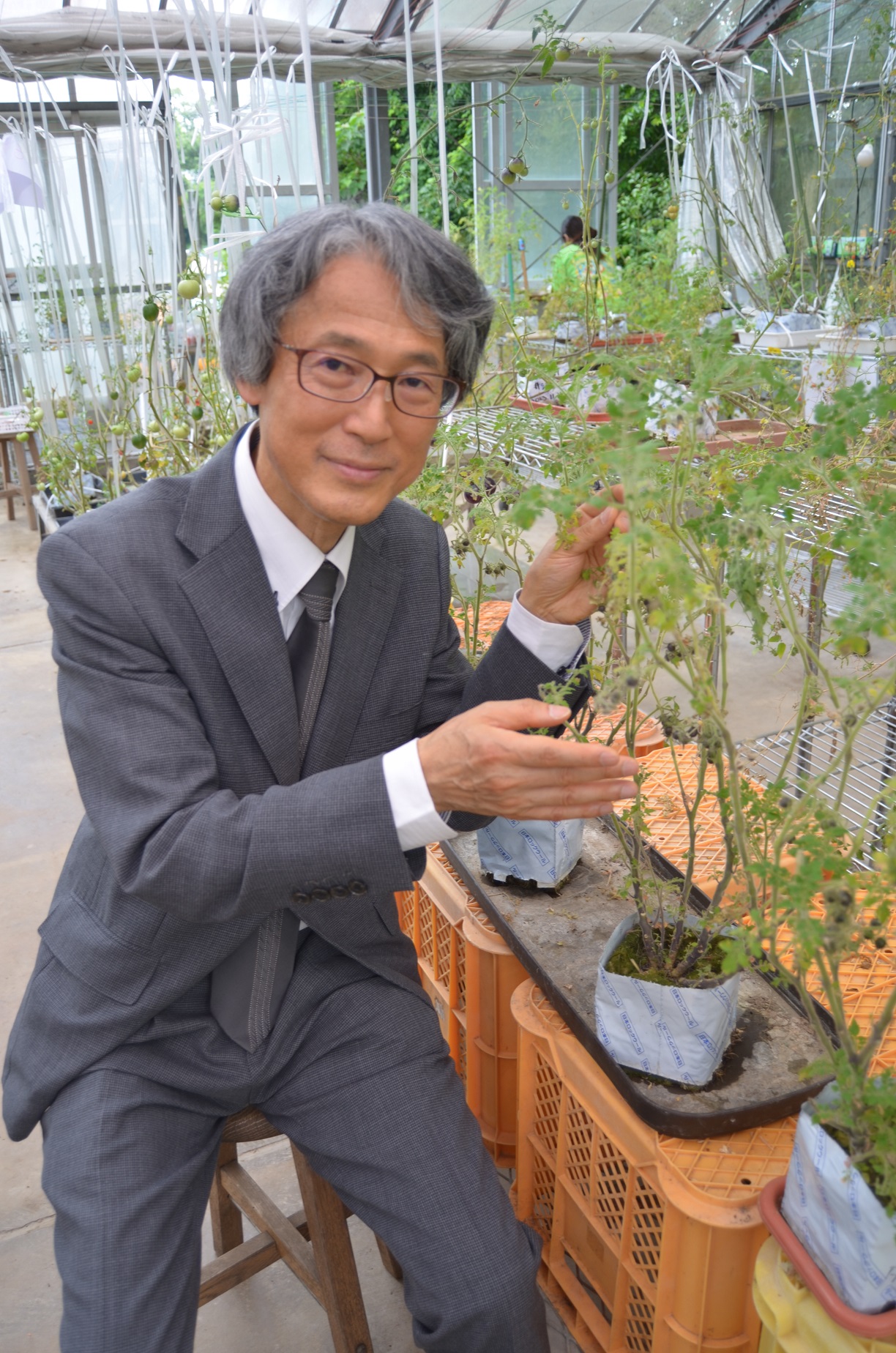 tomita